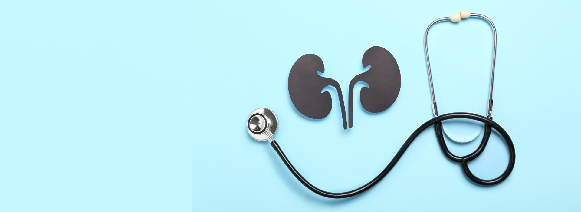 Filtering the facts for Kidney Awareness